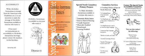 Special Needs tri-fold image